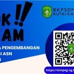 TATA CARA PENGINPUTAN DATA PENGEMBANGAN KOMPETENSI ASN